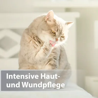 Produktbild von Wundpflege Felisept Mikro Silberspray für Katzen intersive Haut- und Wundpflege 75 ml