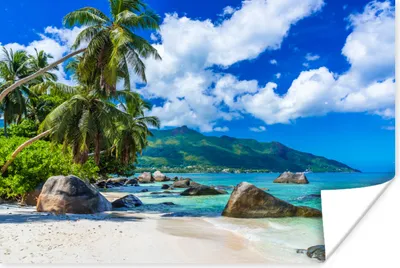 Produktbild von MuchoWow® Poster Strand - Meer - Tropisch 90x60 cm - Schlafzimmer