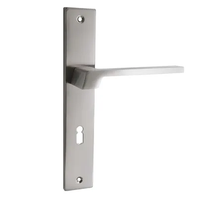 A silver-colored door handle with a long plate and a keyhole, shown against a white background.
