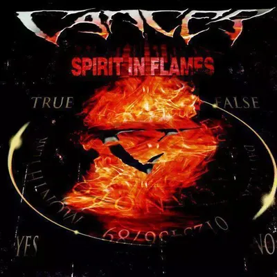 Image de Spirit In Flames (Réédition)