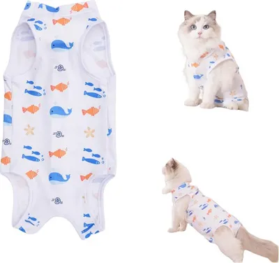 Produktbild von INF Katzen Genesungsanzug aus Polyester, Postoperative Kleidung, 1 Stück M