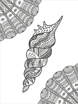 Produktbild von arsEdition Mein Mandala-Tier-Malbuch – Unterwasserträume