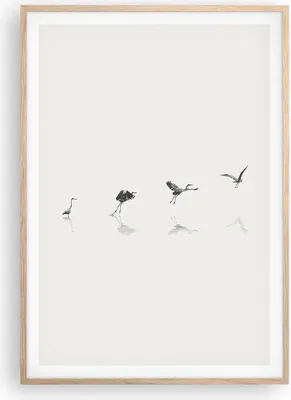 Produktbild von Gerahmtes Poster - Rahmen in heller Eiche - Flug Vogel Reiher - 70x100 cm - Wand Bild - Wanddeko - Wandbilder - Kunstposter - Wandposter - Bilderrahmen - Bilder - Kunstdruck - P2NPA70x100-5096