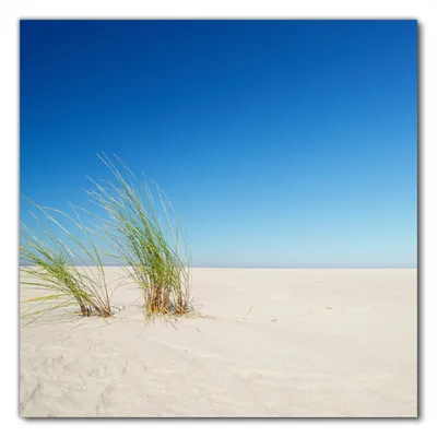 Produktbild von Wallario selbstklebende Möbelfolie/ Tischdecke für Innen und Außen, Größe: 60 x 60 cm - Sandstrand unter blauem Himmel
