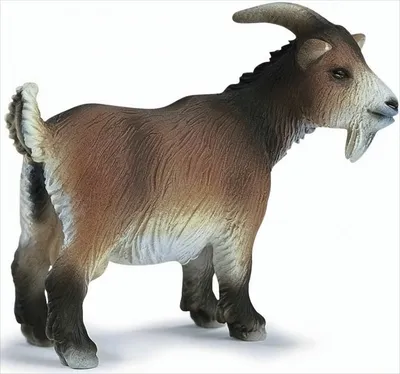 Produktbild von schleich Zwergziege, 3 Jahr(e), Braun, Schwarz, Kunststoff