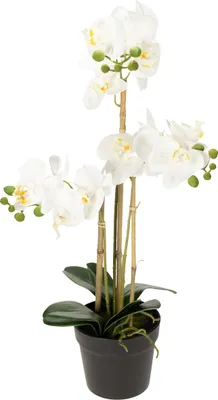 Produktbild von Künstliche Orchidee im Topf für stilvolle Raumdekoration