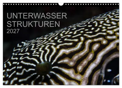 Productafbeelding van Onderwaterstructuren (wandkalender 2027, formaat DIN A3 liggend), CALVENDO maandkalender