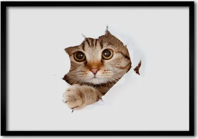Produktbild von Bild - Bilder - Bilderrahmen - 70 cm x 50 cm - MDF-Rahmen, Wandkunst Katze