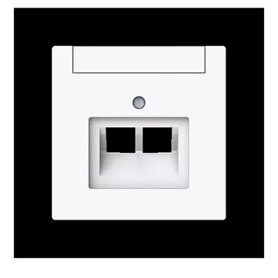 Produktbild von 1803-02-44G Zentralscheibe 2-fach UAE Beschriftungsf 2CKA001710A4227