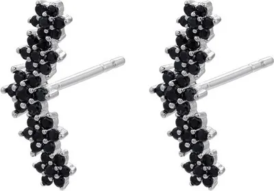 Image de Boucles d'oreilles FI-21707 Argenté / Noir - Élégance KP21707