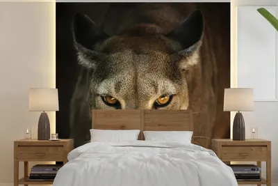 Obrázek produktu pro MuchoWow® Fototapety do obývacího pokoje nebo ložnice tapety vinylové motivy tapety Puma zblízka 240x240cm