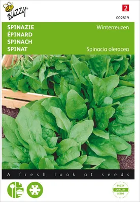 Produktbild von Spinat Winterriesen | Spinatsamen von Buzzy Seeds