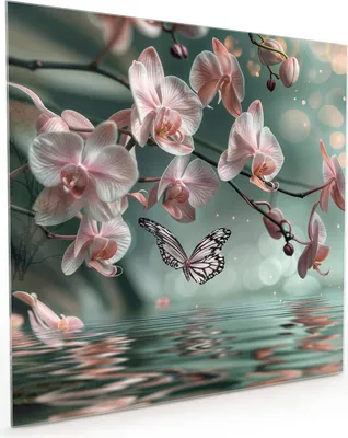 Produktbild von Küchenrückwand Spritzschutz Glas mit Motiv Orchideen Schmetterling 40 x 40 cm