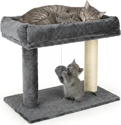 Produktbild von Kratzbaum für Katze 41 cm, Katzenbaum mit weicher Sitzfläche, Aktivitätsbaum Spielbaum mit Plüschball, Stabil Katzen Liegeplatz, grau