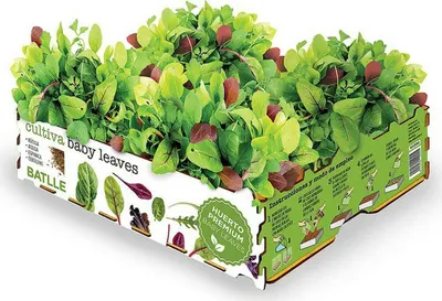 Immagine prodotto di Scatola di insalata di foglie di bambino batlle