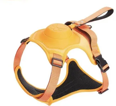 Produktbild von Famanu Hundeleine mit Geschirr - Ausziehbare Leine - Orange - Für mittelgroße Hunde