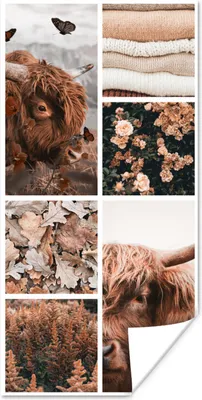 Produktbild von MuchoWow® Poster Schottischer Highlander - Collage - Blumen 20x40 cm - Plakat - Foto