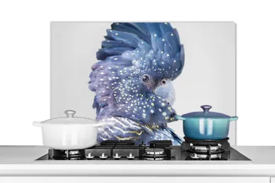 Obrázok produktu pre MuchoWow® Splashback kitchen - Kuchynský backsplash - Ochrana steny sporáka a drezu - Kaketoe - Blauw - Dieren - Natuur 90x60 - Alu-Dibond (alternatíva skleneného splashbacku) - Tepelne odolný - Splashback sporáka - Ochrana dlaždíc - Kuchynská stena - Kuchynský backsplash - Odolný voči teplote - Splashback kitchen