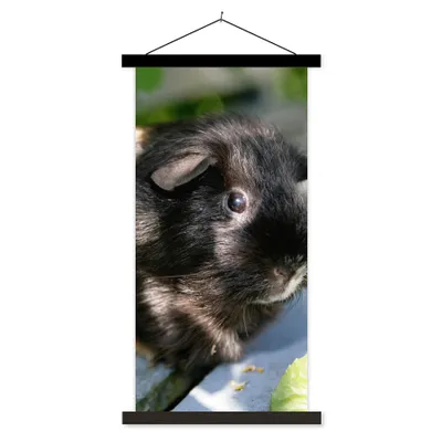 Produktbild von MuchoWow® Textilposter Meerschweinchen im Garten 90x180 cm mit schwarzem Rahmen - Dekoration Wohnzimmer