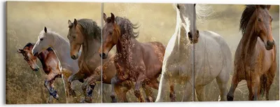 Produktbild von Bild auf Leinwand - Leinwandbild - Pferd Tier Natur - 150x50cm - Wand Bild - Wanddeko - Wandbilder - Leinwanddruck - Bilder - Kunstdruck - Wanddekoration - Leinwand bilder - Wandkunst - CA150x50-3640