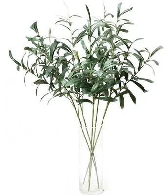 Immagine prodotto di Rami di ulivo artificiali verdi per vaso