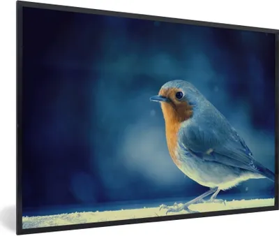 Produktbild von MuchoWow® Gerahmtes Poster Rotkehlchen - Blau - Schnee 90x60 cm - Poster mit Schwarzem Bilderrahmen Wandposter Rahmen Foto Bilder - Fotorahmen - Foto-Plakat