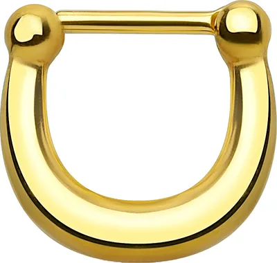 Produktbild von Nasenpiercing Septum Ring Clicker Nasenring Hufeisen Chirurgenstahl 1,2 mm