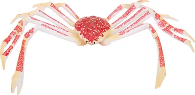 Productafbeelding van Gesimuleerde krabmodeldecoratie, kinderspeelgoed, plastic, zeedieren, cadeau voor kinderen, decoratie voor thuis en feestjes