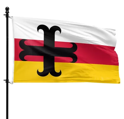 Productafbeelding van Vlag van de Gemeente Asten 90 x 150 cm