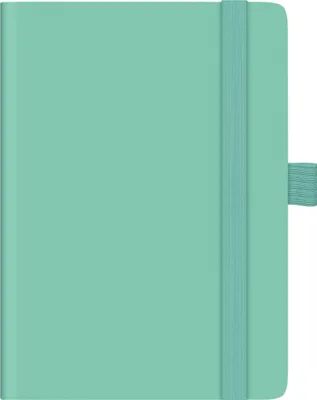 Produktbild von BRUNNEN 1073266527 Taschenkalender Kompagnon Mod. 732 66 2027 A6, Kunststoff, hellgrün