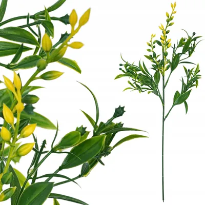 Obrázek produktu pro Topoblu Ruscus větvička umělé listy žlutá 56 cm
