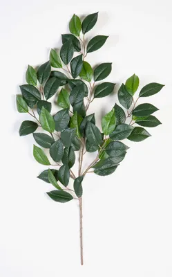 Produktbild von artplants.de Deko Kamelienzweig, 55 Blätter, grün, schwer entflammbar, 55cm - Künstlicher Zweig - Deko Zweig