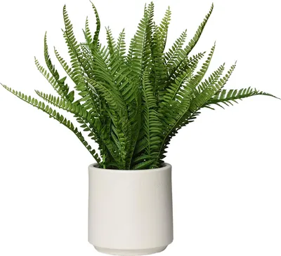 Immagine prodotto di Pianta artificiale IRATZEA in vaso decorativo, plastica, verde, 50x55 cm