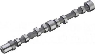 Imagen del producto de Árbol de levas de escape para Iveco Daily, modelo 06-