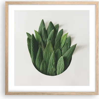 Produktbild von Gerahmtes Poster - Rahmen in heller Eiche - Salbei Medizin Blätter - 50x50 cm - Wand Bild - Wanddeko - Wandbilder - Kunstposter - Wandposter - Bilderrahmen - Bilder - Kunstdruck - P2NAC50x50-4859