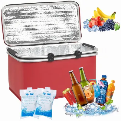 Imagen del producto de Nevera portátil plegable de 30 litros, con 2 acumuladores de frío, bolsa térmica aislante, ideal para picnics