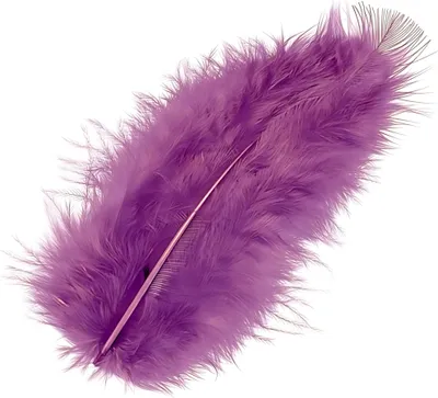 Produktbild von KNORR PRANDELL 216619282 Marabufedern ca. 10 cm violett