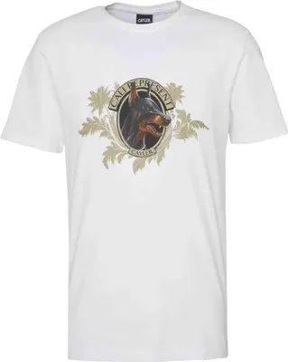 Produktbild von T-Shirt CS2352-WTH für Herren