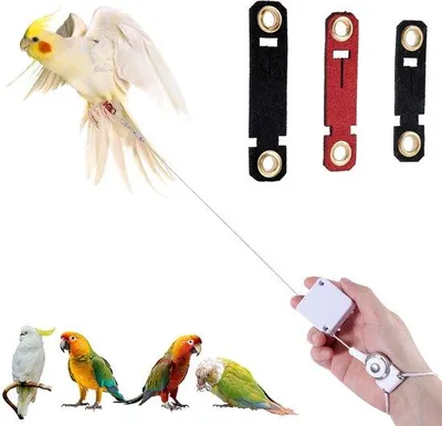 Obrázok produktu pre Vogelriem – 2 m dlhé lano na výcvik lietania s 3 meradlami a krúžkami na nohy – vhodné pre papagáje a papagájovité vtáky