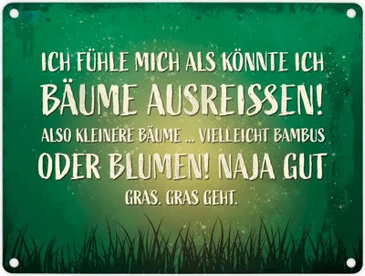 Produktbild von Metallschild mit Spruch: Ich fühle mich, als könnte ... Blechschild Schild