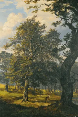 Produktbild von Johan Christian Dahl Kunstdruck Bild - Dyrehave Bei Kopenhagen, 1853 (120 x 80 cm)