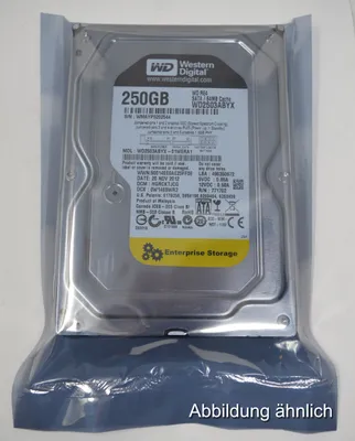 Produktbild von Western Digital WD2503ABYX 250GB SATA 3,5"