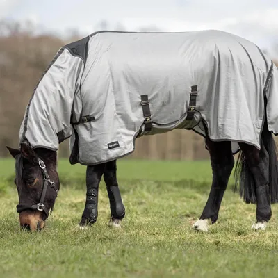 Image de Chemise anti-mouches BUSSE pour paddock Superb Gris (anthracite) 155