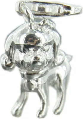 Produktbild von Heartbreaker by Drachenfels Damen Silber Charms Anhänger HB 117