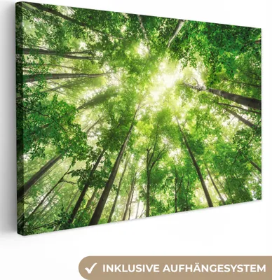 Produktbild von OneMillionCanvasses® - Leinwandbilder - 150x100 cm, Wald - Sonne - Baum, Wandbilder Kunstdruck Wanddekoration