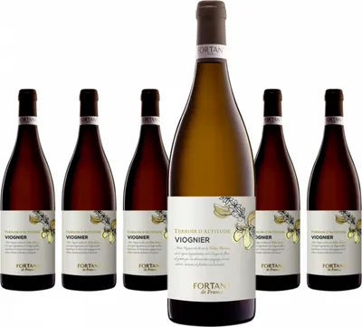 Produktbild von 6 x Fortant de France Viognier Terroir d'Altitude