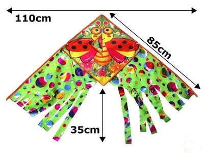 Obrázek produktu pro Drak 110x85cm smíšený (hračky, sport a volný čas)