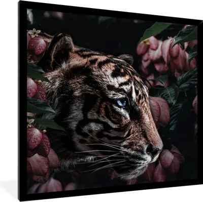 Produktbild von MuchoWow® MuchoWow® Gerahmtes Poster Tiger - Blumen - Pflanze 40x40 cm - Poster mit zchwarzem Bilderrahmen - Mit Rahmen - Wanddekoration Schlafzimmer