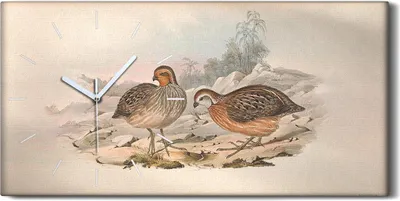 Produktbild von Dekor Leinwand Uhr Wandbilder Geräuschlos 60x30 Vögel Wild Tiere Zeichnung Kunst - weiße Hände