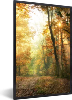 Produktbild von MuchoWow® Gerahmtes Poster Wald - Herbst - Sonne - Landschaft - Natur - Bäume - Laub 60x90 cm - Poster mit Schwarzem Bilderrahmen Wandposter Rahmen Foto Bilder - Kunst